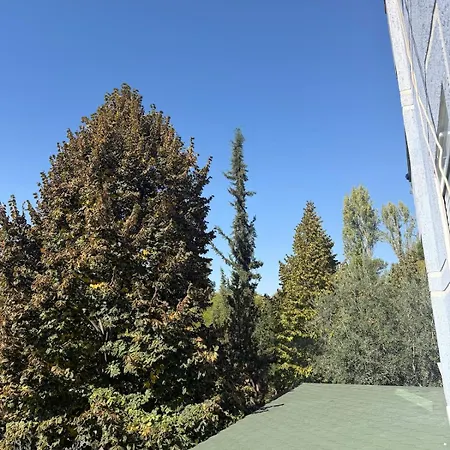 One-bedroom In The Heart Of Appartement Tirana