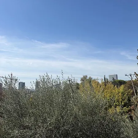 One-bedroom In The Heart Of Tirana
